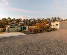 Rural / Farming commercial property for sale at 93 Shaw Street Latrobe TAS 7307