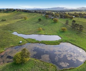 Rural / Farming commercial property for sale at 256 Veresdale School Scrub Road Veresdale Scrub QLD 4285