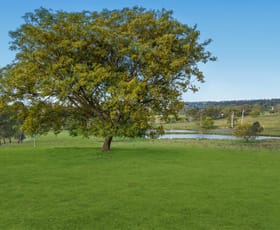 Rural / Farming commercial property for sale at 256 Veresdale Scrub School Road Veresdale Scrub QLD 4285