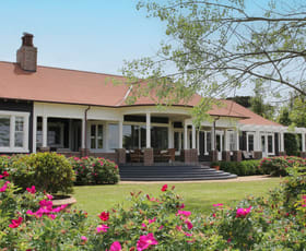 Rural / Farming commercial property for sale at 41 Stanleys Road Merricks VIC 3916