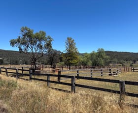 Rural / Farming commercial property for sale at 2080 Bylong Valley Way Baerami NSW 2333