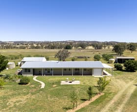 Rural / Farming commercial property for sale at 122 Drip Lane Mudgee NSW 2850