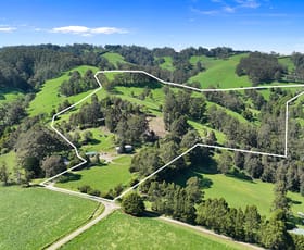 Rural / Farming commercial property for sale at 196 Peters Road Ellinbank VIC 3821
