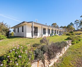 Rural / Farming commercial property for sale at 347 Ribbon Gum Road Braidwood NSW 2622