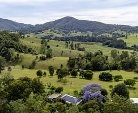 Rural / Farming commercial property for sale at Marlee NSW 2429