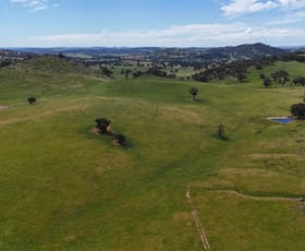 Rural / Farming commercial property for sale at Lachlan View, 395 Battery Road Cowra NSW 2794