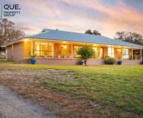 Rural / Farming commercial property for sale at 624 Dights Forest Road Table Top NSW 2640