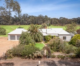 Rural / Farming commercial property for sale at 157 Mitchells Lane Llanelly VIC 3551