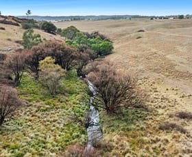 Rural / Farming commercial property for sale at 103 Turkey Hill Road, Limerick via Crookwell NSW 2583