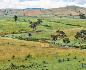 Rural / Farming commercial property for sale at 1479 Grassy Creek Road Rugby NSW 2583