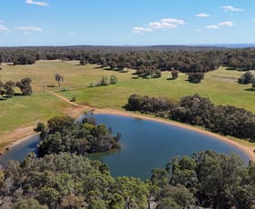 Rural / Farming commercial property for sale at 463 O'Brien Road Gidgegannup WA 6083