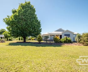 Rural / Farming commercial property for sale at 74 East Pandora Road Glen Innes NSW 2370
