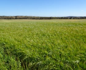 Rural / Farming commercial property for sale at Lot 51 & 1 Boyagarra Road Brookton WA 6306
