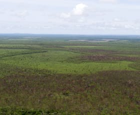 Rural / Farming commercial property for sale at Douglas-daly NT 0822