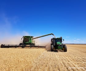 Rural / Farming commercial property for sale at . Waitavalo Farms Narembeen WA 6369