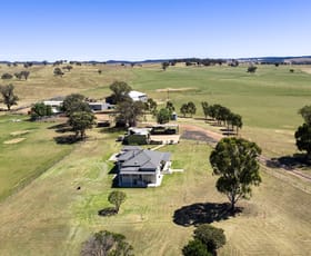 Rural / Farming commercial property for sale at Lot 47, 499 Mebul Road Gulgong NSW 2852