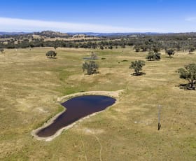 Rural / Farming commercial property for sale at Lots 46 & 70, 499 Mebul Road Gulgong NSW 2852