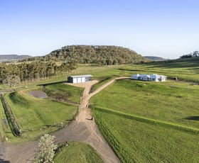 Rural / Farming commercial property for sale at 876 Greenmount Hirstvale Road Ascot QLD 4359 Rural / Farming commercial property for sale at 876 Greenmount Hirstvale Road Ascot QLD 4359