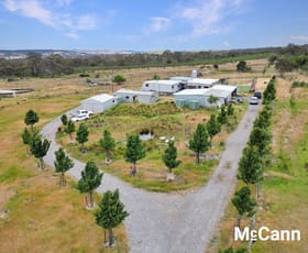Rural / Farming commercial property for sale at 185 Bushs Lane (Dalton) Gunning NSW 2581