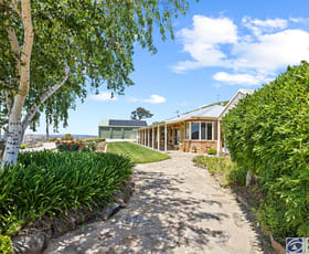 Rural / Farming commercial property for sale at 255 Lucernvale Road Manton NSW 2582