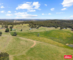 Rural / Farming commercial property for sale at 699 Taylors Flat Road Boorowa NSW 2586