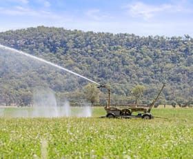 Rural / Farming commercial property for sale at 562 Yarrawa Road Yarrawa NSW 2328