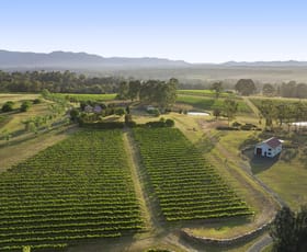 Rural / Farming commercial property for sale at 110 Old North Road Pokolbin NSW 2320