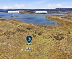 Rural / Farming commercial property for sale at 2533 Marlborough Road Little Pine Lagoon TAS 7140