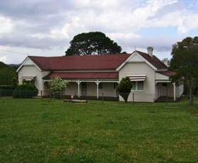 Rural / Farming commercial property for sale at 262 Snows Road North Dorrigo NSW 2453