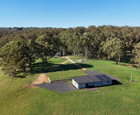 Rural / Farming commercial property for sale at 222 Cranfield Road Chatham Valley NSW 2787
