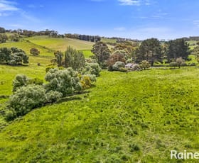 Rural / Farming commercial property for sale at 5 Reid Road Paris Creek SA 5201