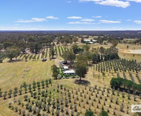 Rural / Farming commercial property for sale at 1012 Bendigo - Maryborough Road Lockwood South VIC 3551