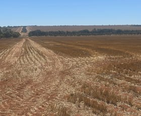 Rural / Farming commercial property for sale at 727 Tenindewa Road Tenindewa WA 6632