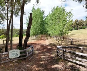 Rural / Farming commercial property for sale at 20880 South Western Highway Mullalyup WA 6252