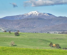 Rural / Farming commercial property for sale at Lot 1, 214 Hearns Road Boorolite VIC 3723