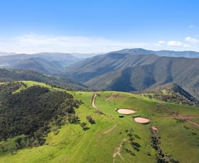 Rural / Farming commercial property for sale at 914 Target Creek Road Licola VIC 3858