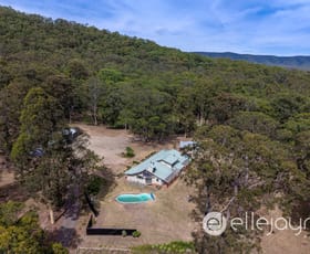 Rural / Farming commercial property for sale at 403 Wallaby Gully Road Ellalong NSW 2325