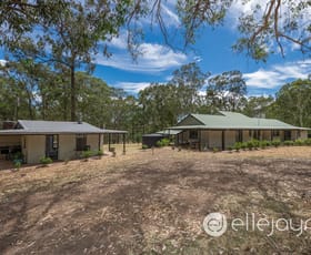 Rural / Farming commercial property for sale at 403 Wallaby Gully Road Ellalong NSW 2325