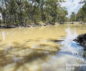Rural / Farming commercial property for sale at 3520 Orallo Road Roma QLD 4455