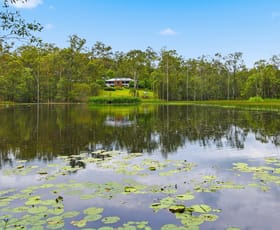 Rural / Farming commercial property for sale at 296 Lowe Road Bollier QLD 4570