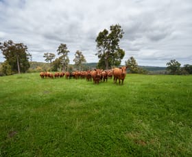 Rural / Farming commercial property for sale at Lot 4 Kammann Road (Upper Warren) Manjimup WA 6258