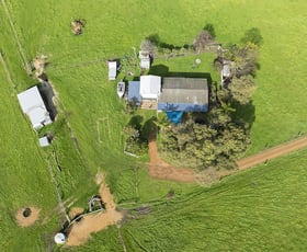 Rural / Farming commercial property for sale at 972 Capel Tutunup Road Tutunup WA 6280