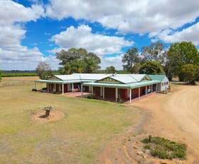 Rural / Farming commercial property for sale at 104 Barnes Road Cobram VIC 3644