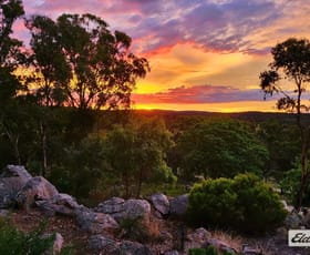 Rural / Farming commercial property for sale at 81 Clark Lane Severnlea QLD 4380 Rural / Farming commercial property for sale at 81 Clark Lane Severnlea QLD 4380