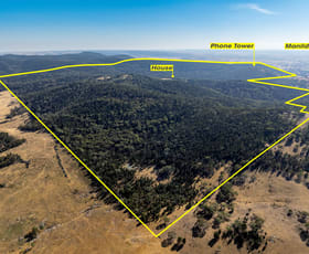 Rural / Farming commercial property for sale at 35 Rosamel Lane Manildra NSW 2865