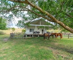 Rural / Farming commercial property for sale at 689 Manchester Road, Via Gloucester Bindera NSW 2422