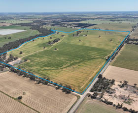 Rural / Farming commercial property for sale at 175 Kaarimba Road Wunghnu VIC 3635