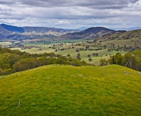 Rural / Farming commercial property for sale at Lot 3 - 289 Tongio Gap Road Tongio VIC 3896