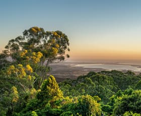 Rural / Farming commercial property for sale at 240 Lees Road Robertson NSW 2577