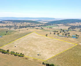 Rural / Farming commercial property for sale at 195 Wambanumba Drive Young NSW 2594